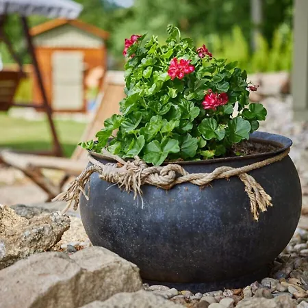 Beautiful With Comfort *